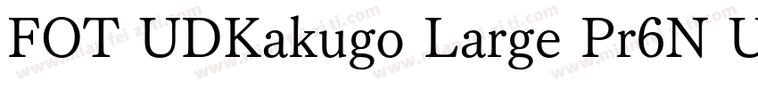 FOT UDKakugo Large Pr6N U字体转换
